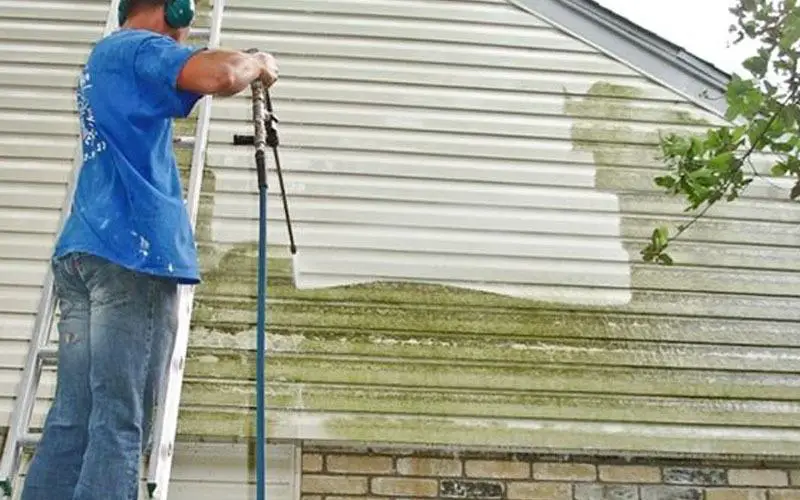 Pressure wash the exterior